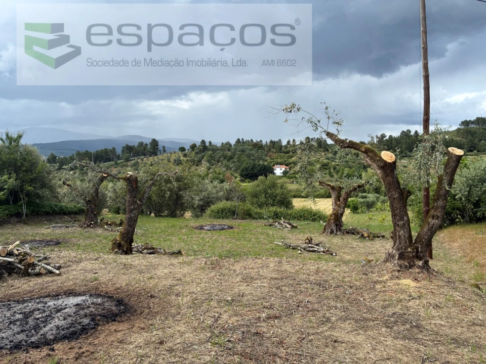 Terreno para Venda em Alcaria Foto 2