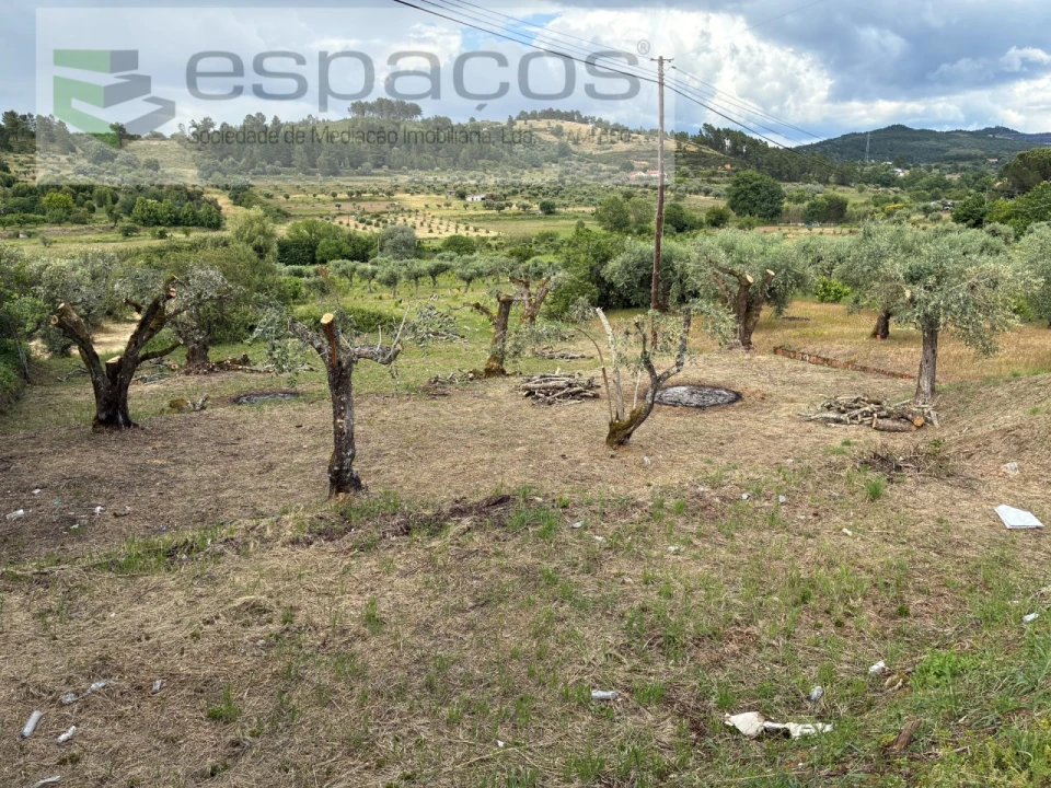 Terreno para Venda em Alcaria Foto 3