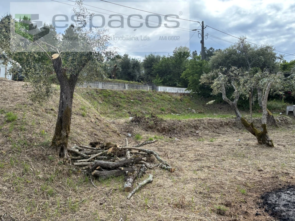 Terreno para Venda em Alcaria Foto 4