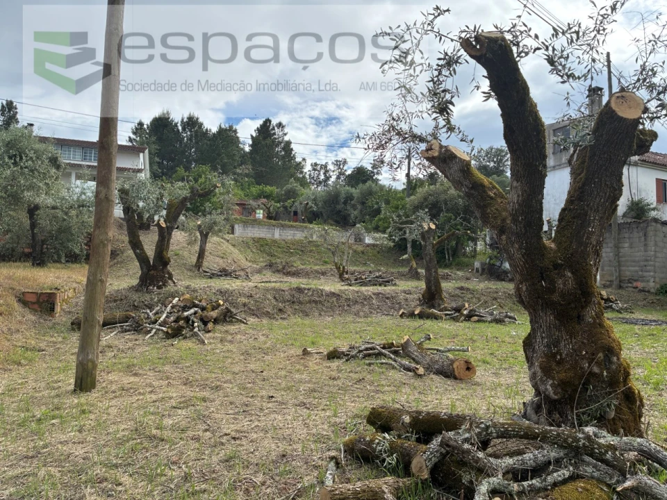 Terreno para Venda em Alcaria Foto 6