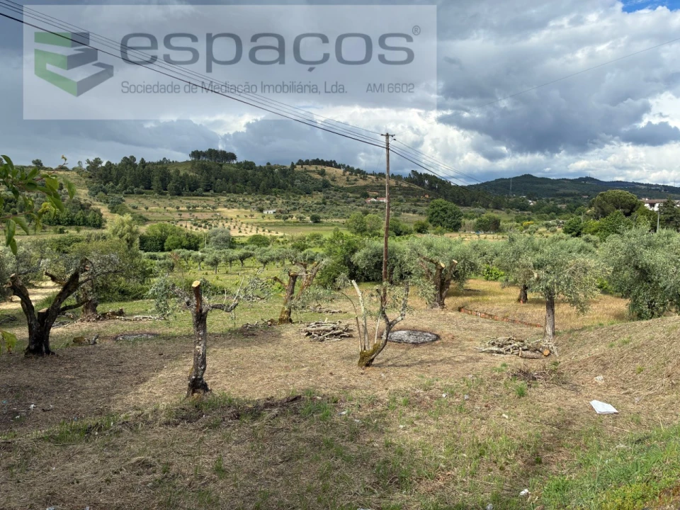 Terreno para Venda em Alcaria Foto 9