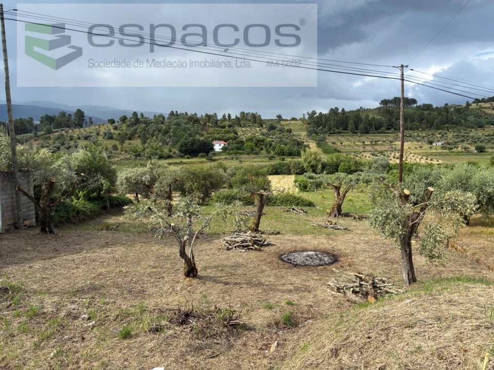 Terreno para Venda em Alcaria Foto 10