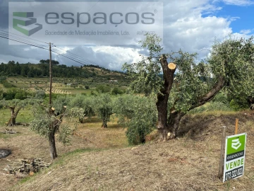 Terreno para Venda em Alcaria