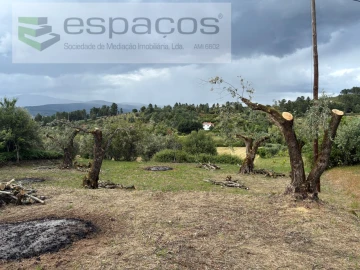Terreno para Venda em Alcaria