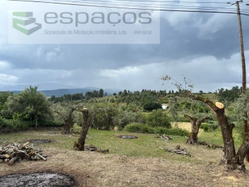 Terreno para Venda em Alcaria