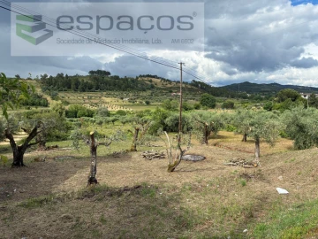 Terreno para Venda em Alcaria