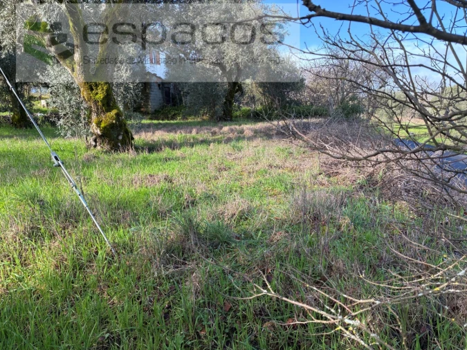 Terreno para Venda em Alcaria Foto 4