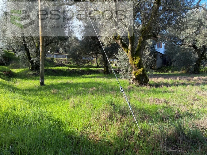 Terreno para Venda em Alcaria Foto 7