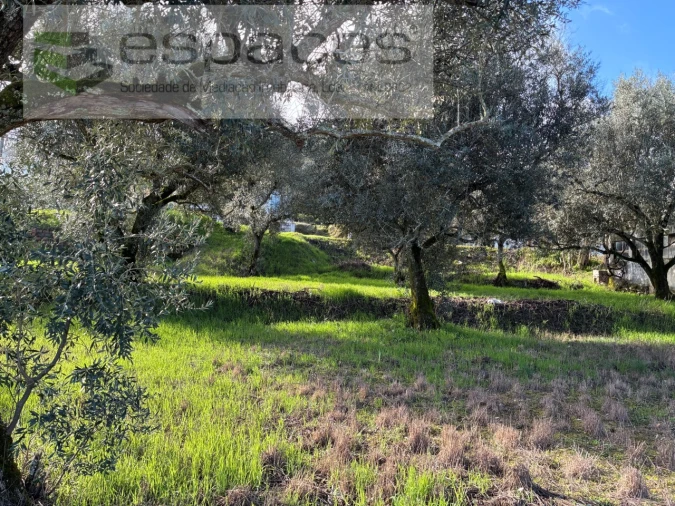 Terreno para Venda em Alcaria Foto 8