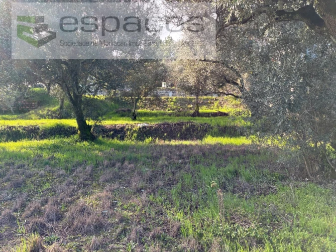 Terreno para Venda em Alcaria Foto 9