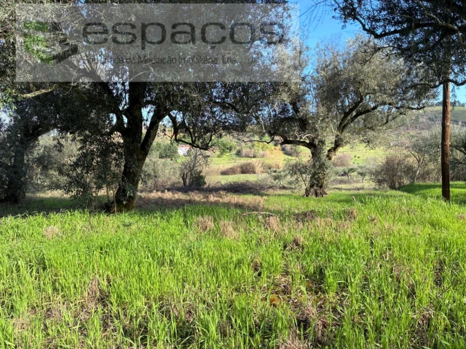 Terreno para Venda em Alcaria Foto 11