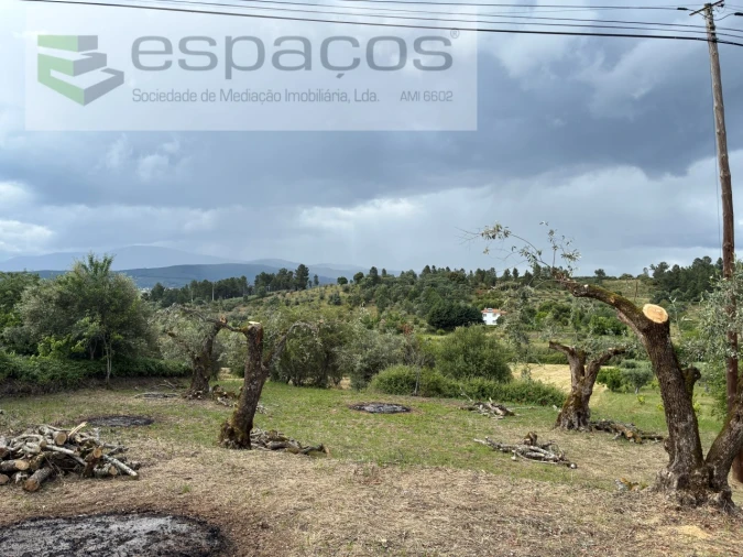 Terreno para Venda em Alcaria Foto 8