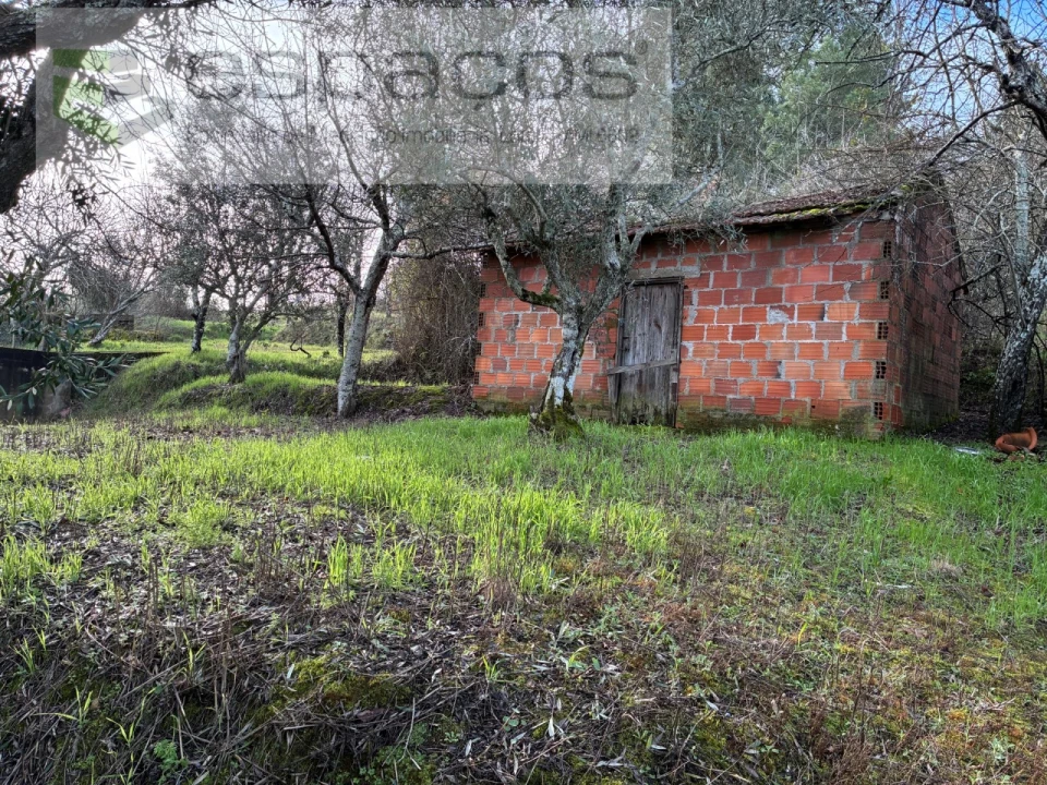Terreno para Venda em Alcaria Foto 3