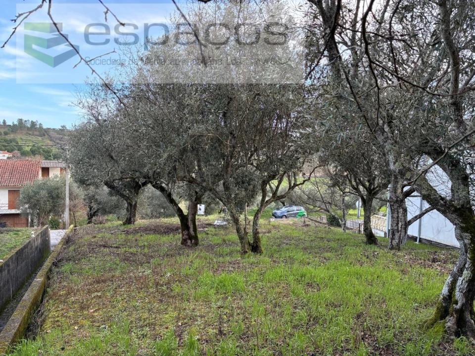 Terreno para Venda em Alcaria Foto 6