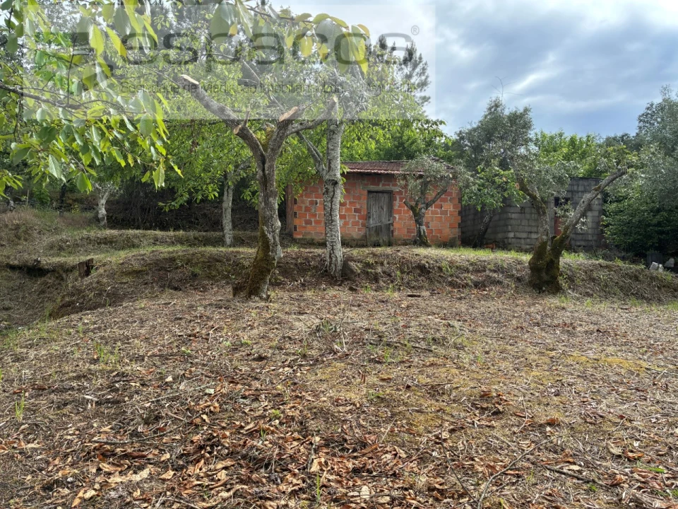 Terreno para Venda em Alcaria Foto 13