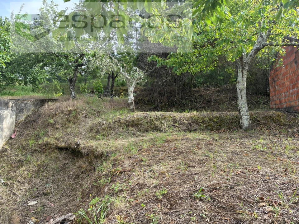 Terreno para Venda em Alcaria Foto 15