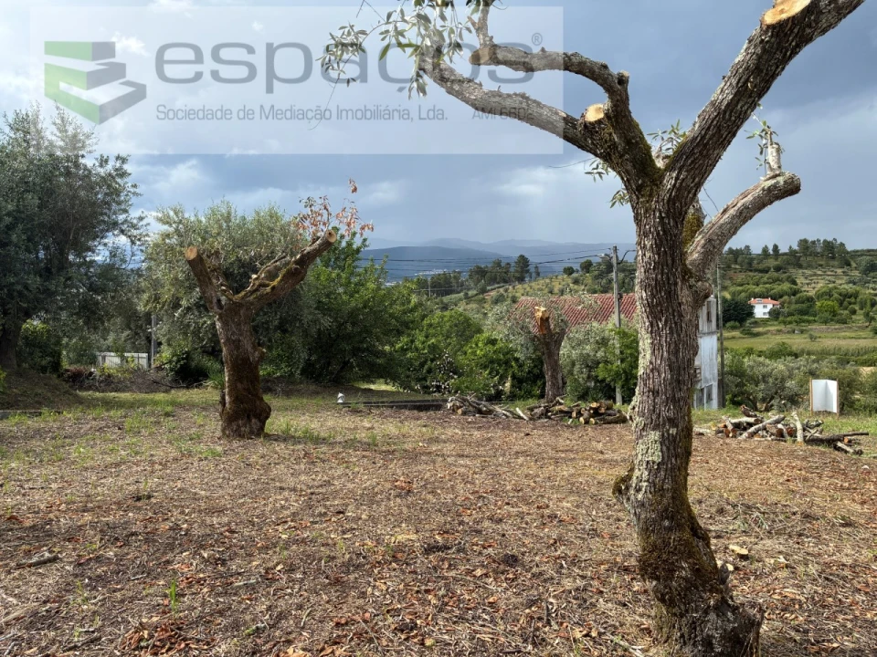 Terreno para Venda em Alcaria Foto 16