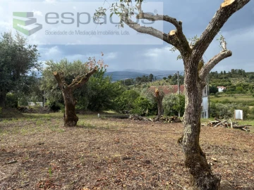 Terreno para Venda em Alcaria