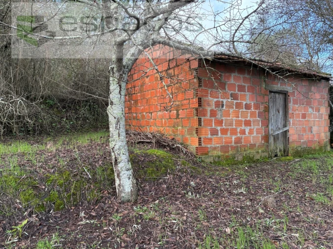 Terreno para Venda em Alcaria Foto 4