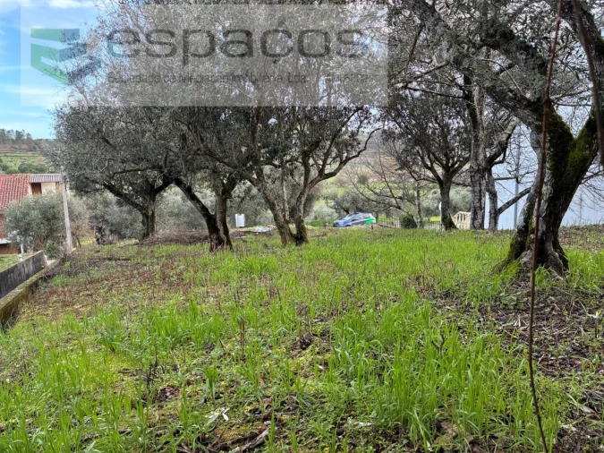 Terreno para Venda em Alcaria Foto 7