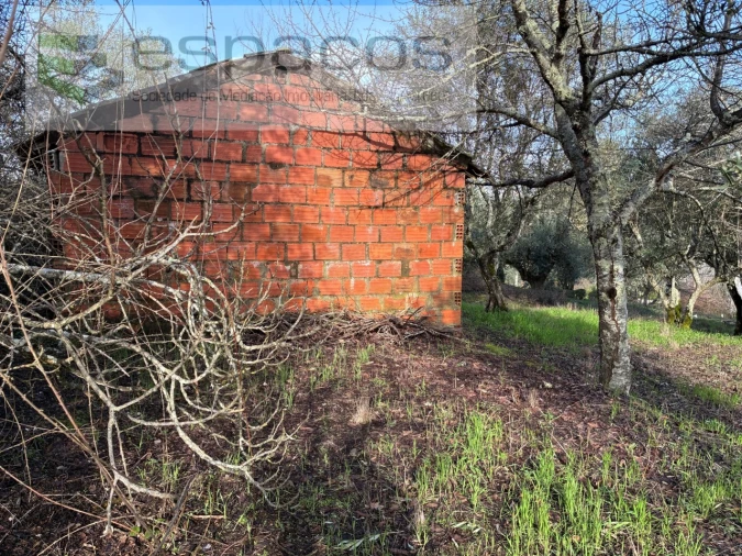 Terreno para Venda em Alcaria Foto 5