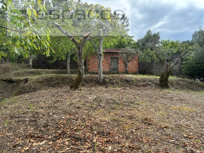 Terreno para Venda em Alcaria Foto 13