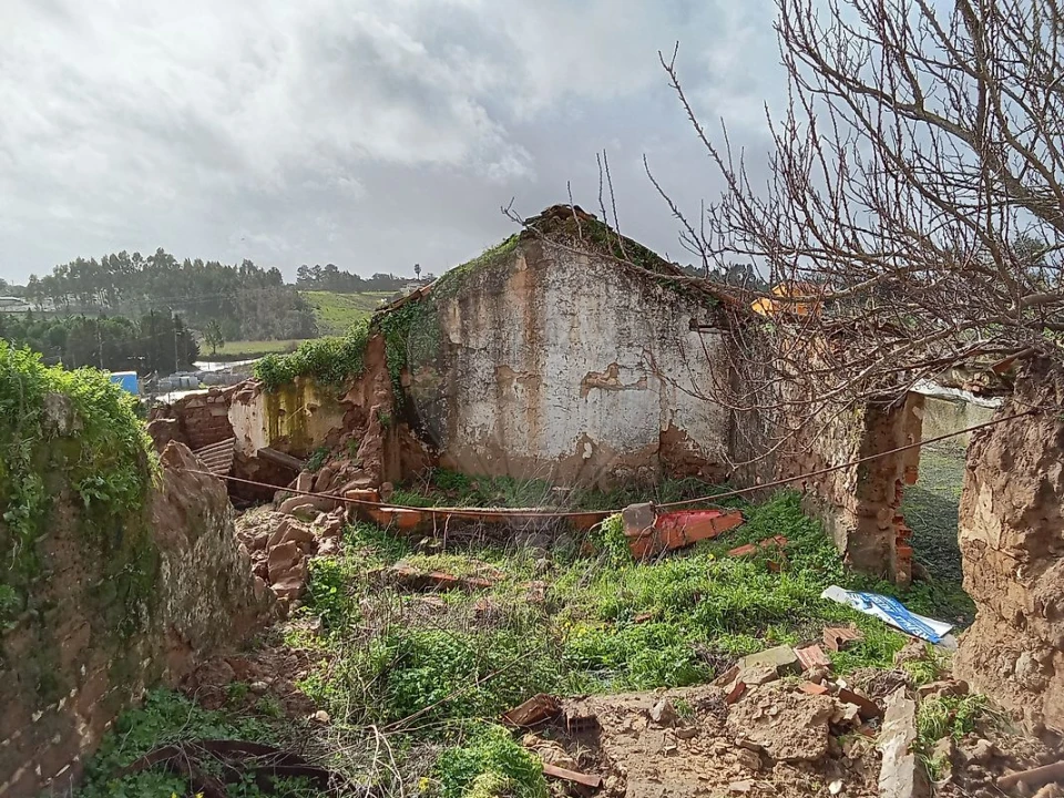 Armazém para Venda em Ereira e Lapa Foto 9