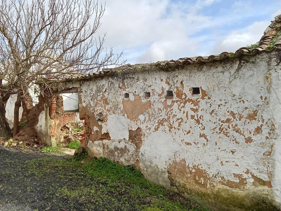 Armazém para Venda em Ereira e Lapa Foto 2