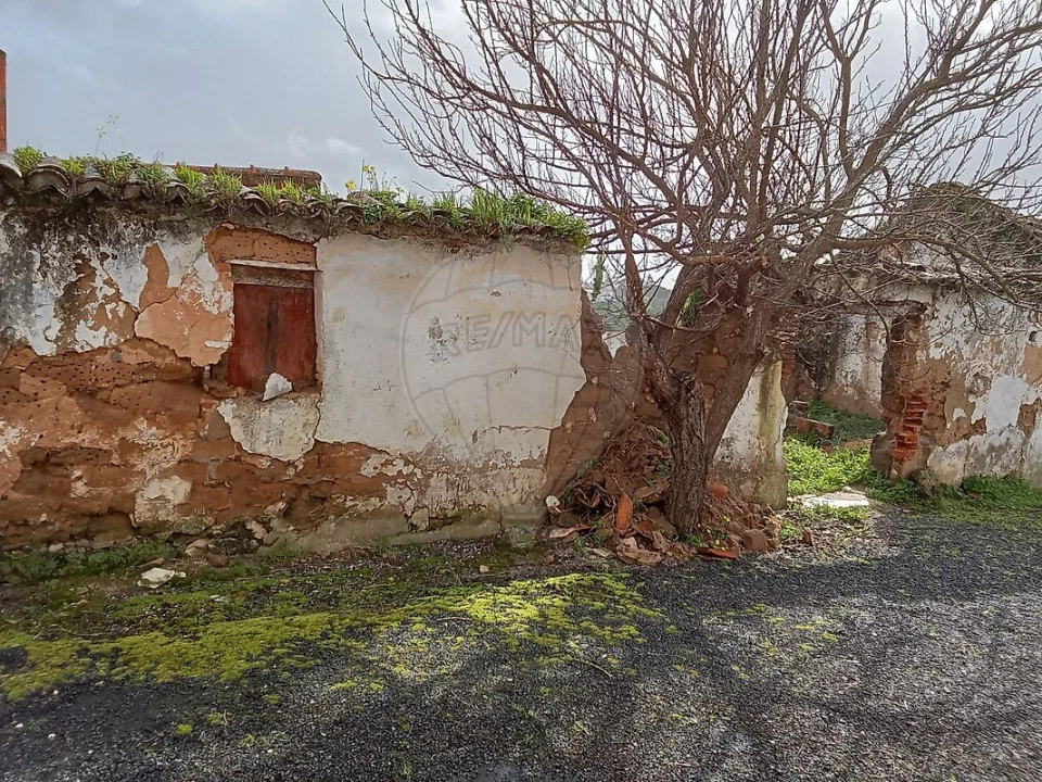 Armazém para Venda em Ereira e Lapa Foto 4