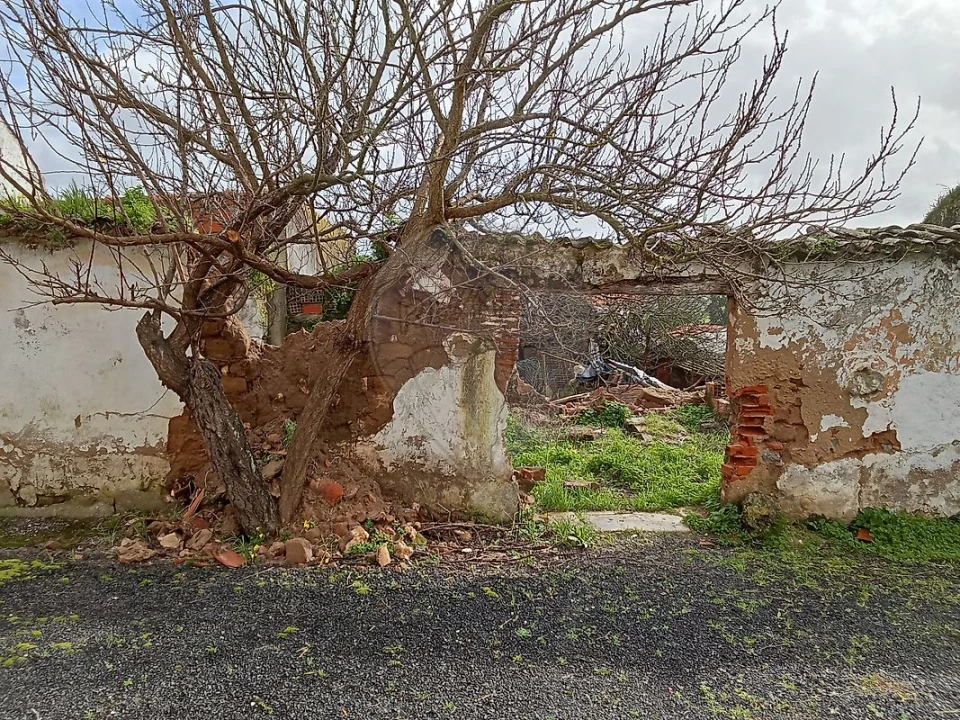 Armazém para Venda em Ereira e Lapa Foto 5