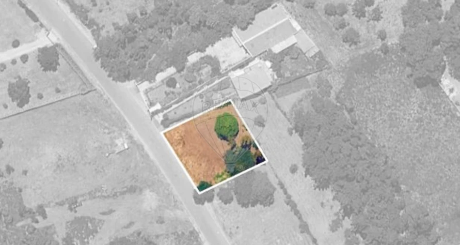 Terreno para Venda em Grijó e Sermonde Foto 3