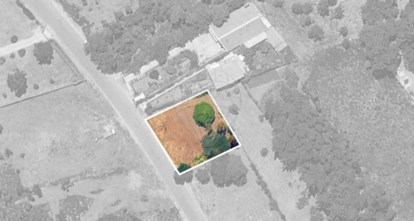 Terreno para Venda em Grijó e Sermonde Foto 3