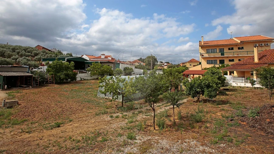 Quinta T8 para Venda em Azoia de Cima e Tremês Foto 8