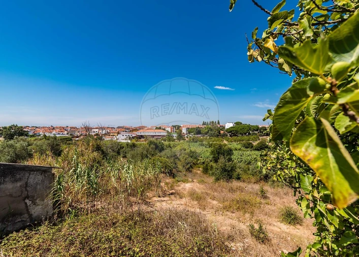 Terreno para Venda em Marvila, Ribeira Santarém, São Salvador, São Nicolau Foto 30