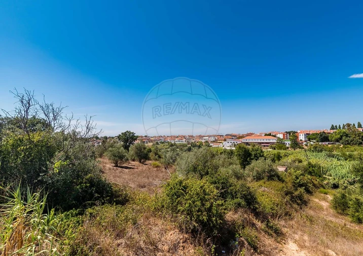 Terreno para Venda em Marvila, Ribeira Santarém, São Salvador, São Nicolau Foto 34
