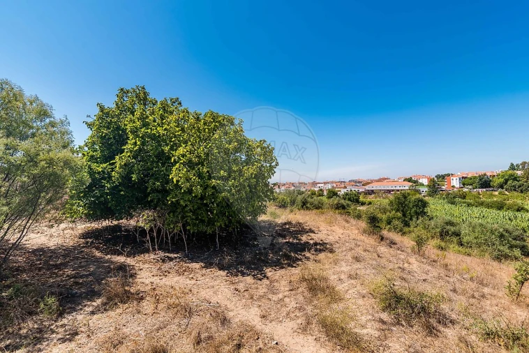 Terreno para Venda em Marvila, Ribeira Santarém, São Salvador, São Nicolau Foto 33