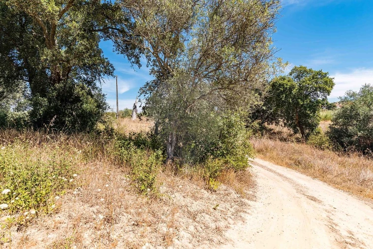 Terreno para Venda em Marvila, Ribeira Santarém, São Salvador, São Nicolau Foto 23
