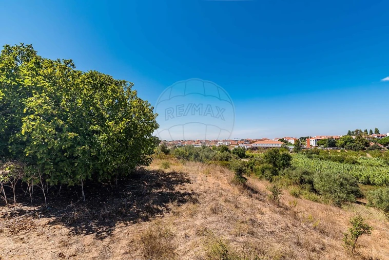 Terreno para Venda em Marvila, Ribeira Santarém, São Salvador, São Nicolau Foto 32