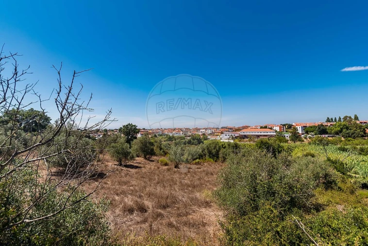 Terreno para Venda em Marvila, Ribeira Santarém, São Salvador, São Nicolau Foto 35