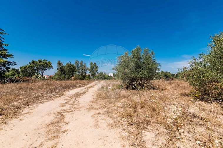 Terreno para Venda em Marvila, Ribeira Santarém, São Salvador, São Nicolau Foto 24