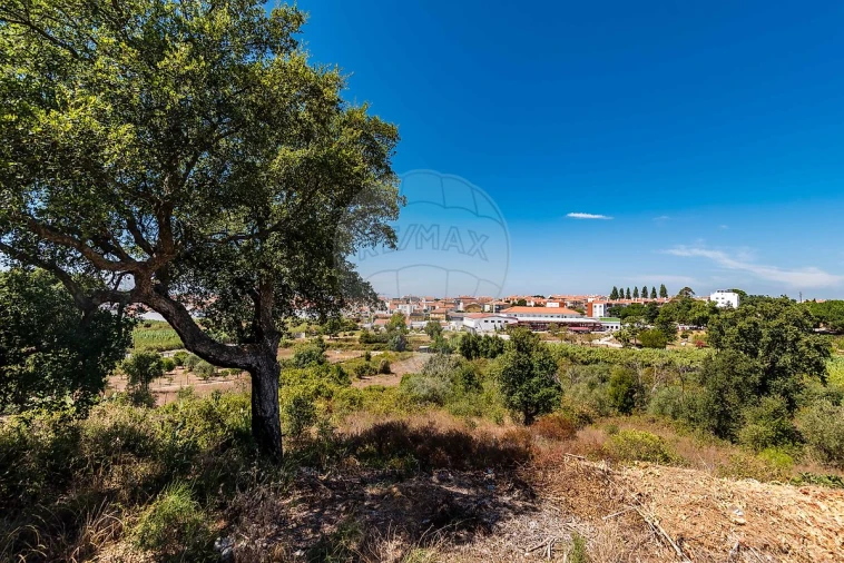 Terreno para Venda em Marvila, Ribeira Santarém, São Salvador, São Nicolau Foto 25