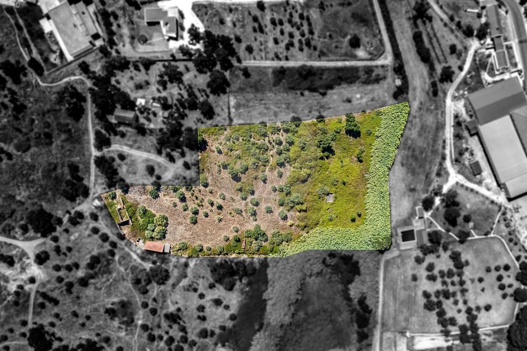 Terreno para Venda em Marvila, Ribeira Santarém, São Salvador, São Nicolau Foto 9