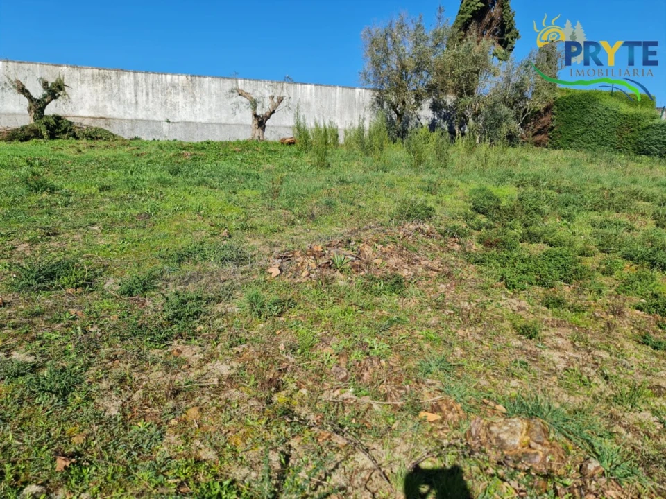 Terreno para Venda em Sertã Foto 2