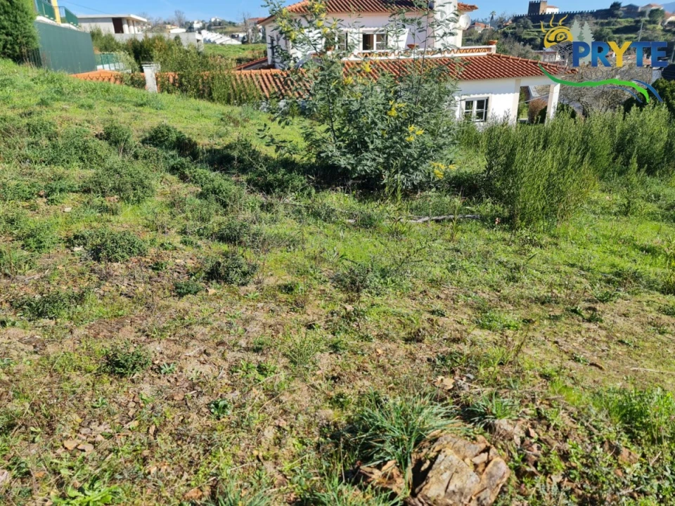 Terreno para Venda em Sertã Foto 14