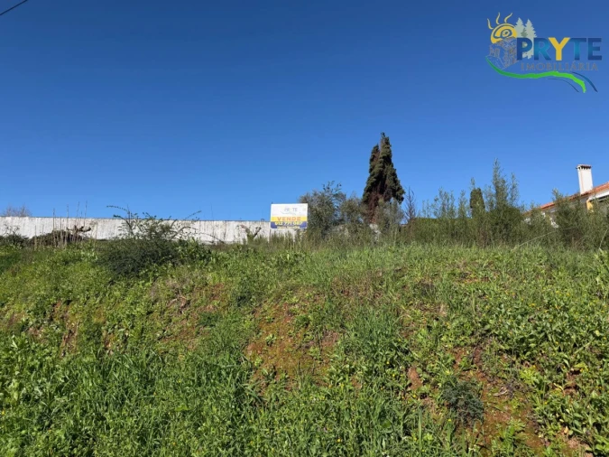 Terreno para Venda em Sertã Foto 4