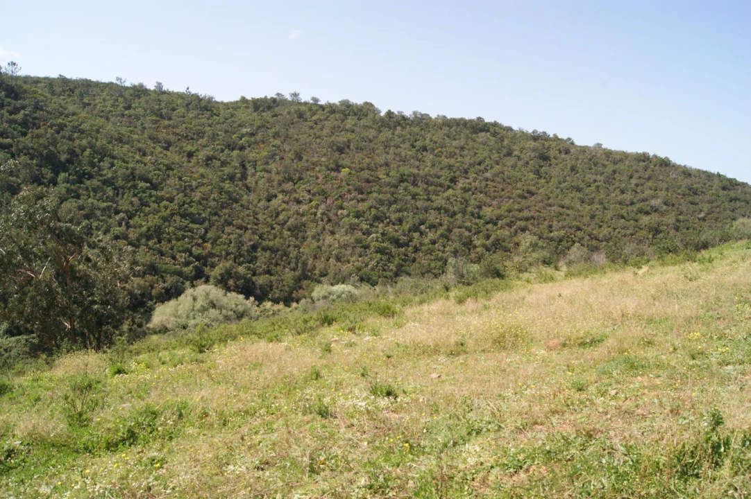 Moradia T2 para Venda em Aljezur Foto 23