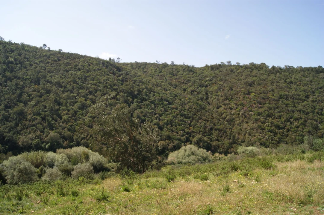 Moradia T2 para Venda em Aljezur Foto 26