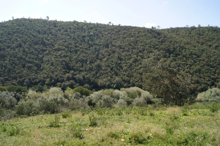 Moradia T2 para Venda em Aljezur Foto 25