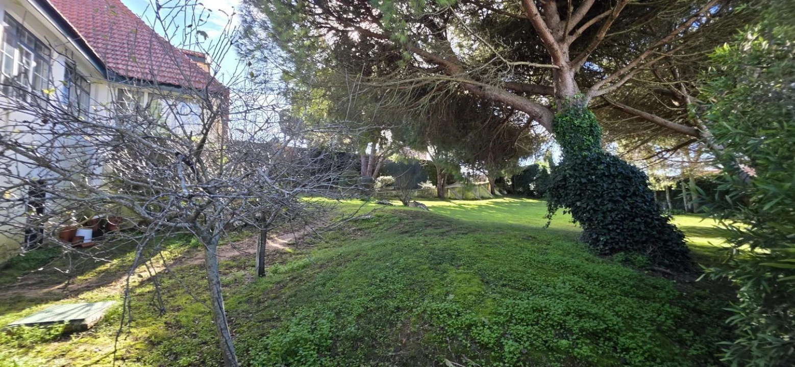 Moradia T5 para Venda em Manique do Intendente, Vila Nova de São Pedro e Maçussa Foto 13