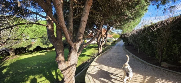 Moradia T5 para Venda em Manique do Intendente, Vila Nova de São Pedro e Maçussa